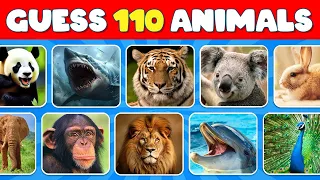 Guess the 110 Animals in 3 second 🐶🐵🐈 Easy, Medium, Hard, Impossible | OCEAN QUIZ