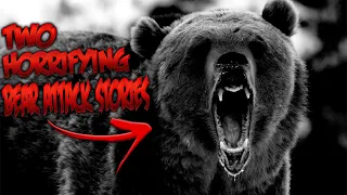 The Most SHOCKING Bear Attack Stories Yet