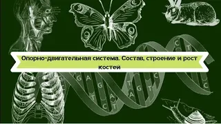 Биология 8 класс $7 Опорно-двигательная система. Состав, строение и рост костей