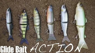 Glide VS Glide - Who swims the best?? Glide Bait ACTION!