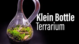 I Made the First Klein Bottle Terrarium (Very Difficult)