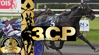 2021 Breeders Crown - Perfect Sting - 3CP