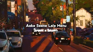 Aake Seene Lale Menu | Rim Jhim Khan Shaab,  Pav Dharia | Slowed x Reverb | Lofi Music Pvt.com