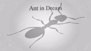 What is the meaning of ant in dream |  Dreams Meaning and Interpretation