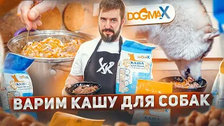 Варим кашу для собак DogmaX | Обзор и интервью | Натуральное питание для собак