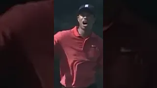 TIGER WOODS 3 Worst Shots in PGA History