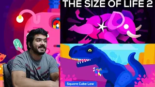 How to Make an Elephant Explode – The Size of Life 2 (Kurzgesagt) CG Reaction