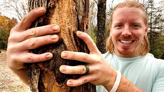 ASMR | Giving A Tree A Massage