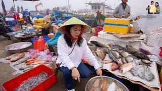 Ra Đảo Bé Lý Sơn mua Tỏi bất ngờ gặp Chợ Hải sản tươi sống ăn Bữa cơm tạm biệt bạn Khoẻ về đất liền