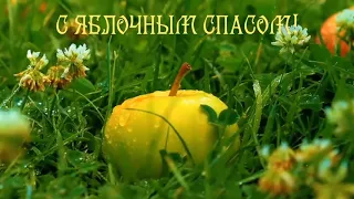 ПОЗДРАВЛЯЮ С ЯБЛОЧНЫМ СПАСОМ!🍏🍎🍏