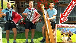 DIE HALODRIS AUS DEM ZILLERTAL - Die brandneue CD - Trailer 2022