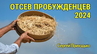 ОТСЕВ ПРОБУЖДЕНЦЕВ-2024. Сергей Приходько 24.05.24