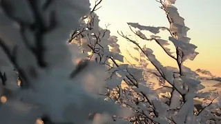 Геннадий Царегородцев "Горячий снег" (авторская песня)