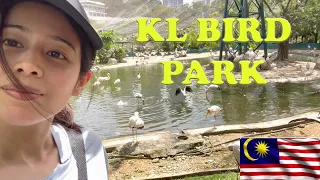 My adventure at the Largest Bird Park in the World