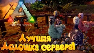 🦎 ARK: Survival Evolved - # 14.41 В поиске Лучшей Додошки на Сервере! Готовимся к ивенту!