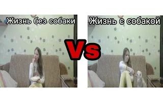 Жизнь без собаки vs жизнь с  собакой |скетч|