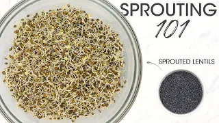 How To Sprout Anything: Easy To Make With 100% Success Guaranteed! | How To Cuisine