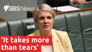 Tanya Plibersek attacks PM for response to sex scandals | SBS News