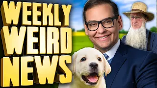 George Santos Stole Dogs From The Amish? - Weekly Weird News
