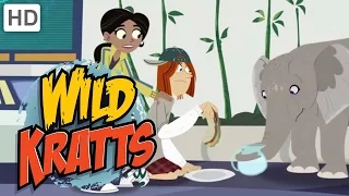 Wild Kratts - The Lost Baby Elephant