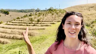 How to reforest a steep slope without swales or irrigation 🌱🌿🌳