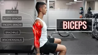 The Best Science-Based Bicep Workout | ARMS (Part 1/2)