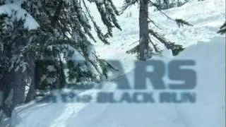 BBC Wildlife - Bears on the Black Run