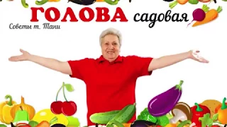 Голова садовая - Что делать осенью с малиной?