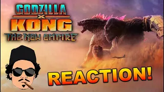 GODZILLA X KONG: THE NEW EMPIRE (2024) First Time Watching - Movie REACTION, COMMENTARY & REVIEW