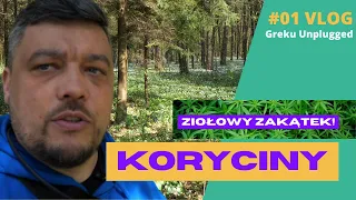 Koryciny - Ziołowy Zakątek Podlasie Polska 2022