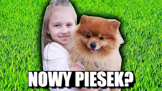 NASZ NOWY PIESEK? 💜 POZNAJCIE LEO