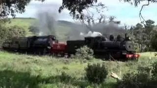 Steam Train Double Header Pichi Richi Railway