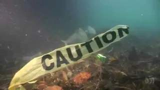 Plastic Pollution