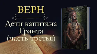 Жюль Верн: Дети Капитана Гранта (аудиокнига) часть третья