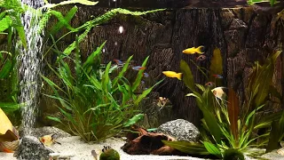 3 HOURS of Relaxing Aquarium Fish, Coral Reef Fish Tank & Relax Music 1080p HD #2