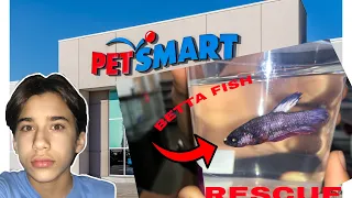 Getting another BETTA FISH | PetSmart Vlog | Rescuing Sick Betta