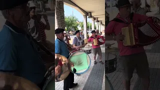 Música “Toma lá da cá” tocada pelo grupo concertinas do monumento