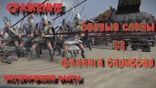 ✞ Macedonian phalanx VS  Elephants of the Persians ✞ Battles ✞