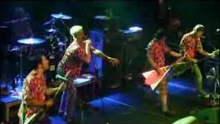 Me First and the Gimme Gimmes - Tomorrow, Live at Melkweg