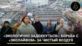 «Экологично задохнуться»: борьба с «Эколайфом» за чистый воздух