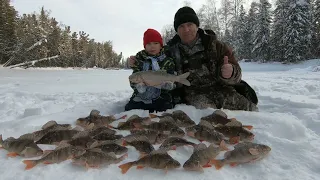 ЧУДНЫЕ ОКУНЯРЫ И ЯЗЬ НА ЗАВИСТЬ! ЗИМНЯЯ РЫБАЛКА КАК СКАЗКА ДЛЯ СЫНА! ОН СЧАСТЛИВ ОТ ТАКИХ ТРОФЕЕВ)!