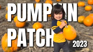 First Time at the PUMPKIN PATCH! - @itsJudysLife