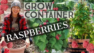 How To Grow Raspberries In Containers