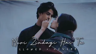 Meri Zindagi Hai Tu (Slowed + Reverb)RD lofi music