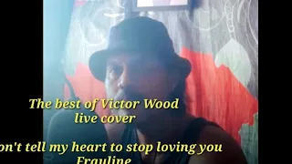 Victor Wood song live cover by noel smets