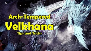 TIPS for Arch-Tempered Velkhana (ATV) - Monster Hunter World Iceborne