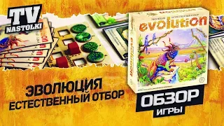 [обзор] Эволюция. Естественный отбор