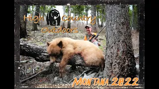 Blondie the Bear - Episode 2 - 2022 Montana Spring Bear Hunt Finale