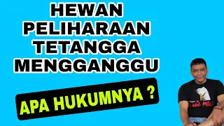 Anjing Tetangga Mengganggu, apa hukumnya ?