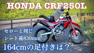 CRF250L 164センチのクロスカブ主がビックリしたシート高830mm驚愕の足つき！【レンタルバイク出たもの勝負byまさチャンネル】#CRF250L